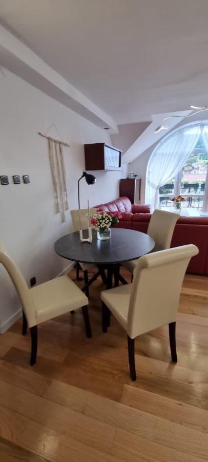W Centrum Premium Apartment Ustrzyki Dolne